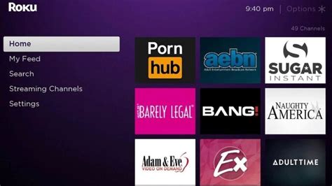 how to watch porn on my roku|Private Channels Are Gone but You Can Still Watch Porn on。